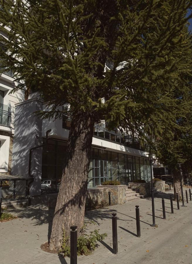Kuban Апартаменти Γιαρέμτσε Εξωτερικό φωτογραφία